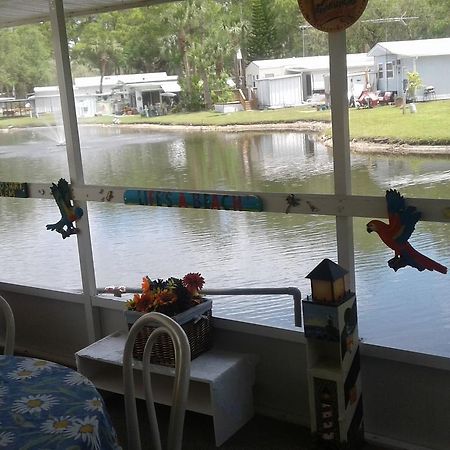 Oak Springs Rv Resort Port Richey Luaran gambar
